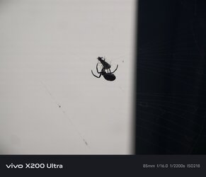 1000002981.jpg