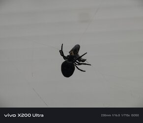 1000002985.jpg