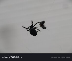 1000002986.jpg