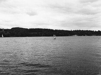 20250529_151137~2.jpg