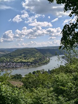 IMG_20250531_110932.jpg