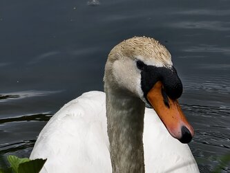 IMG_20250531_183301.jpg