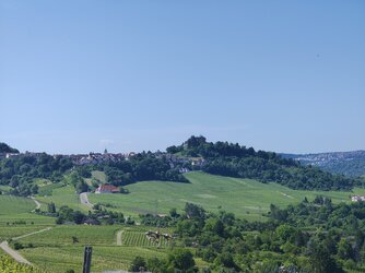 IMG_20250531_110231794_HDR.jpg