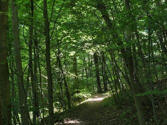 IMG_20250531_112425033_HDR.jpg