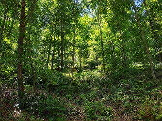 IMG_20250531_121947827_HDR.jpg