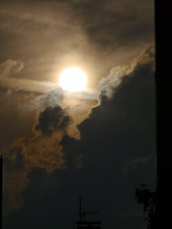 IMG_20250531_072354.jpg