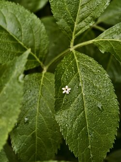 IMG_20250529_081258.jpg