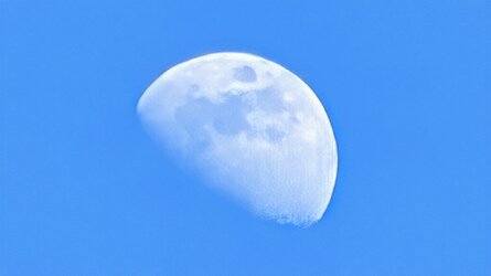 PXL_20250406_161134000~2.jpg