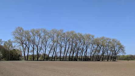 PXL_20250412_124640520.jpg