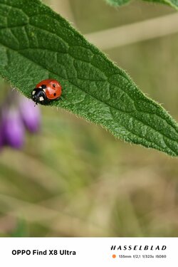 IMG_20250601_141645.jpg