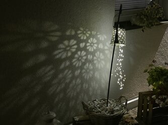 20250601_220341.jpg