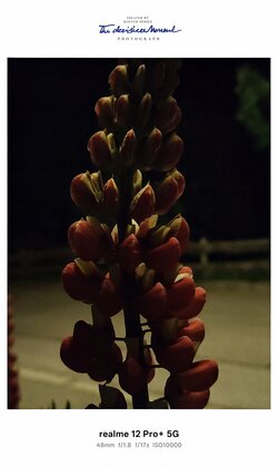 IMG20250602014431~2.jpg