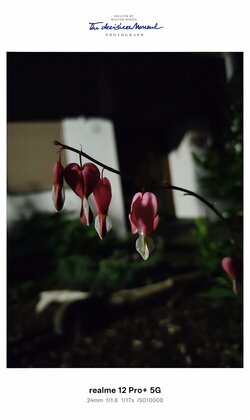 IMG20250602022700~2.jpg