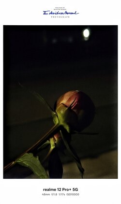 IMG20250602021929~2.jpg