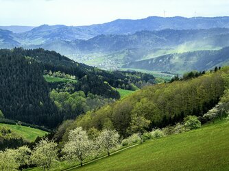 19 Nikwalter.jpg 19 Nikwalter.jpg