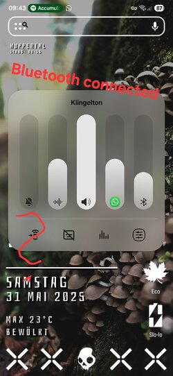 Screenshot_20250531_094324_Nova Launcher.jpg