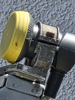 20250602_125228.jpg