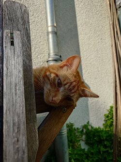 20250602_174318.JPG