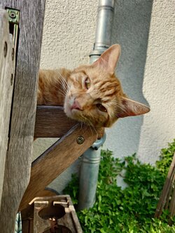 20250602_174326.JPG