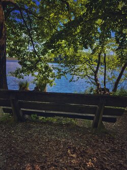 IMG_20250602_194603.jpg
