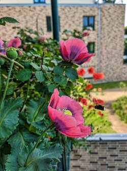 Gcam20250603_085117558.jpg