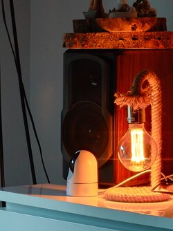 20250603_202621177.JPG