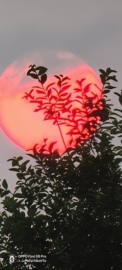 IMG20250603205312.jpg