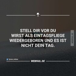 post2.jpg