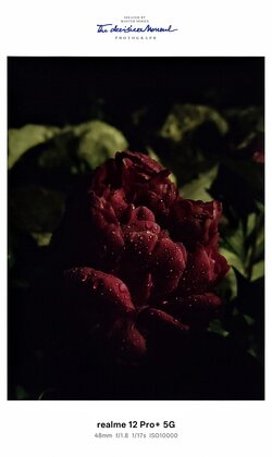 IMG20250604022529~2.jpg