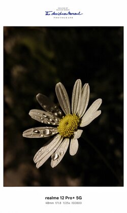 IMG20250604023944~2.jpg