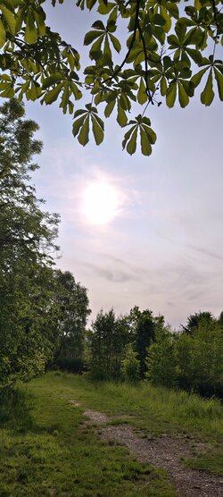 IMG_20250603_182543.jpg