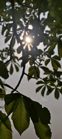 IMG_20250603_183402.jpg