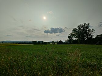 20250603_181633924.JPG