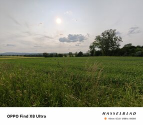 IMG20250603181648.jpg