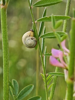 IMG_20250601_144317.jpg