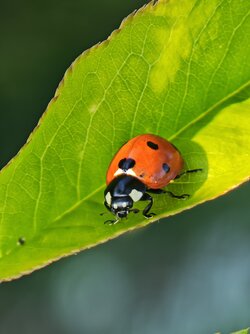 IMG_20250501_184237.jpg