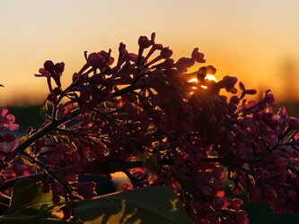 IMG_20250426_201706.jpg
