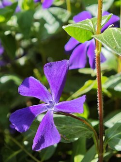 IMG_20250416_112230.jpg