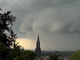 IMG_0808.jpeg