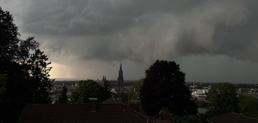 IMG_0811.jpeg