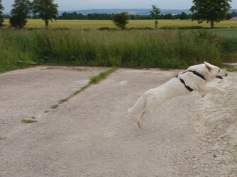 DSC_0020_BURST20250604193922442_exported_1749059888739.jpg