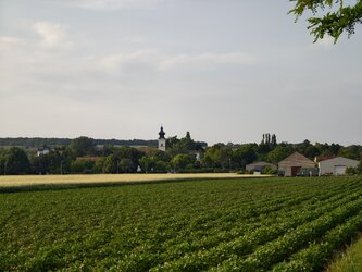IMG_20250604_192225.jpg