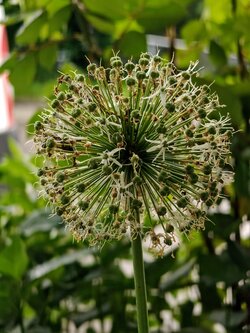 IMG20250604192537~2.jpg