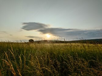 20250605_063204662.JPG