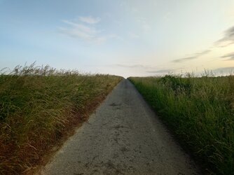 20250605_063351797.JPG