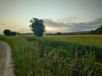 20250605_062605111.JPG