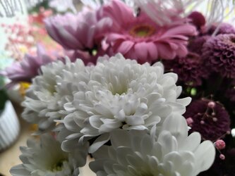 IMG_20250605_164953540.jpg