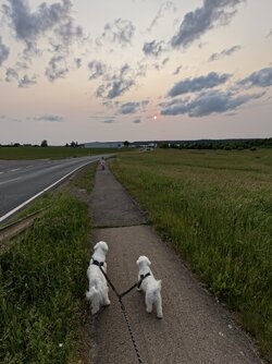 IMG20250603202348.jpg