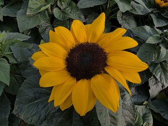 20250605_173240.jpg