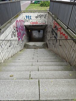 1000028582.jpg